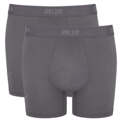 Sloggi SLG Base Short C2P Gris 6652