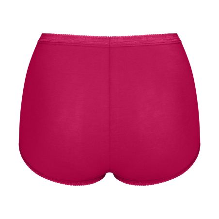 Sloggi Dames Basic Maxi Slip 4 pack C4P 0033 3+1 gratis
