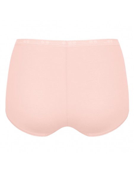 Sloggi Basic Maxi Slip C3P